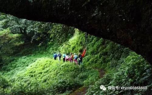 有谁知道这是什么古董-专业有问必答平台,快速解决你的疑惑